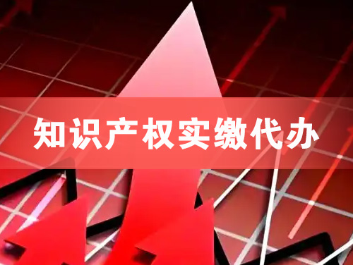 灵武知识产权实缴资本代办